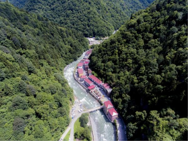Rize