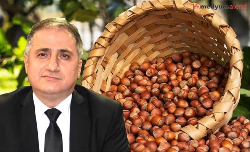 TMO, KDZ. EREĞLİ