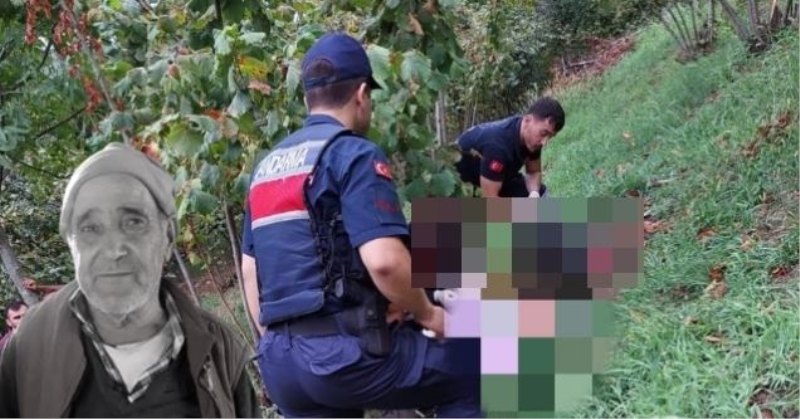 Fındık bahçesinde cansız bedeni bulundu...