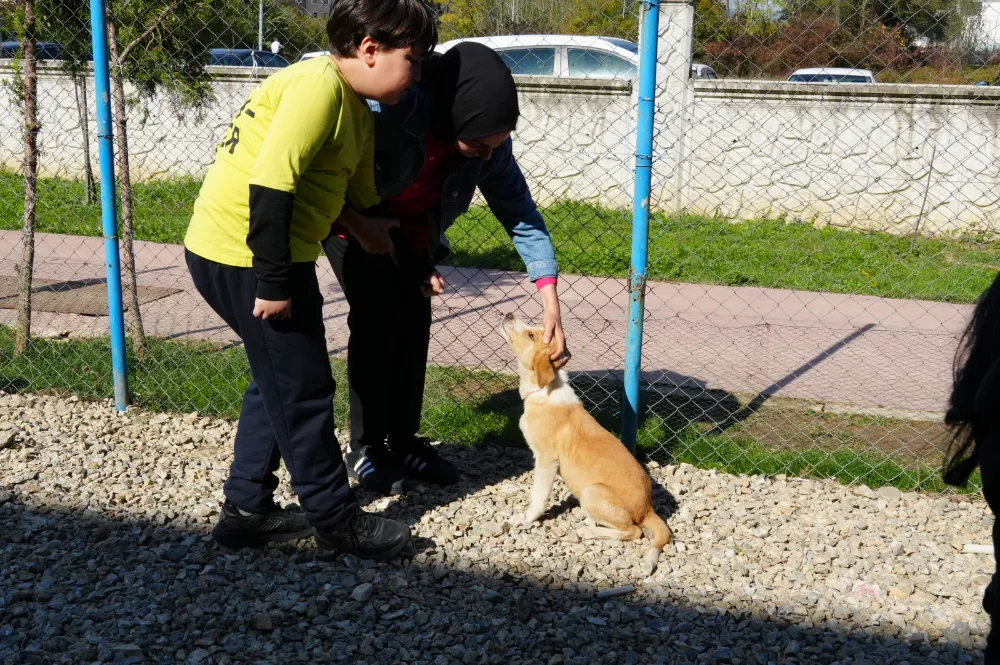 HAYVAN SAHİPLENME PROJESİYLE ÖZEL EĞİTİM OKULUNA CAN DOST