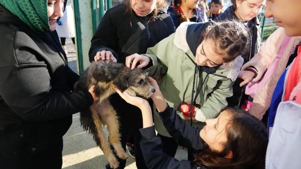 ÖĞRENCİLERDEN SOKAK HAYVANLARI İÇİN ANLAMLI DESTEK