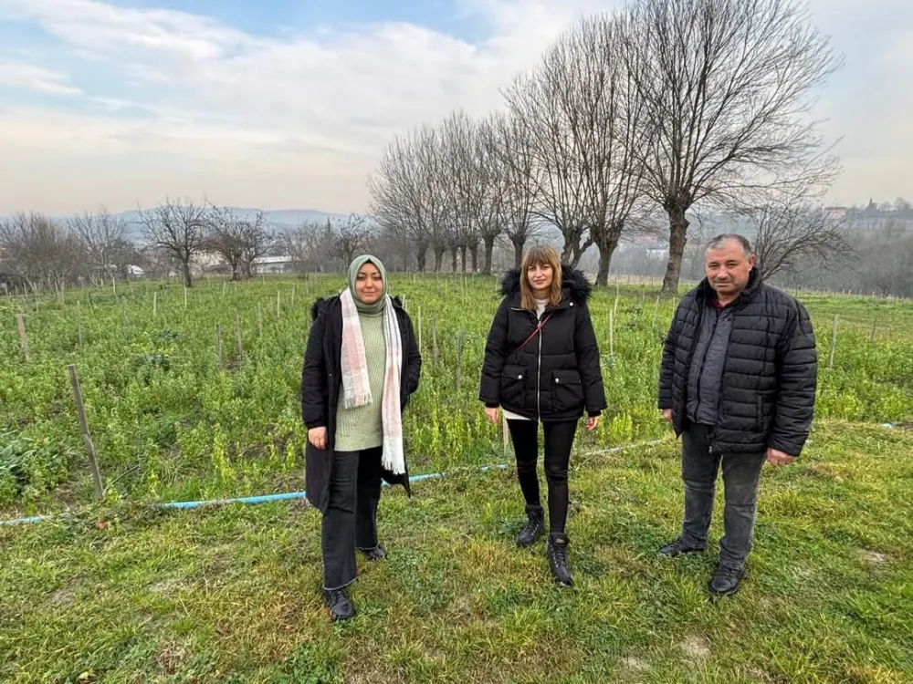 ÇAYCUMA’DA ARONYA BAHÇESİNE TEKNİK DESTEK!