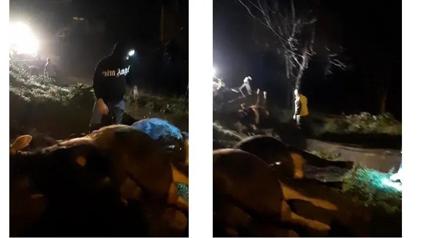 Elektrik Akımından Kaynaklanan Felaket