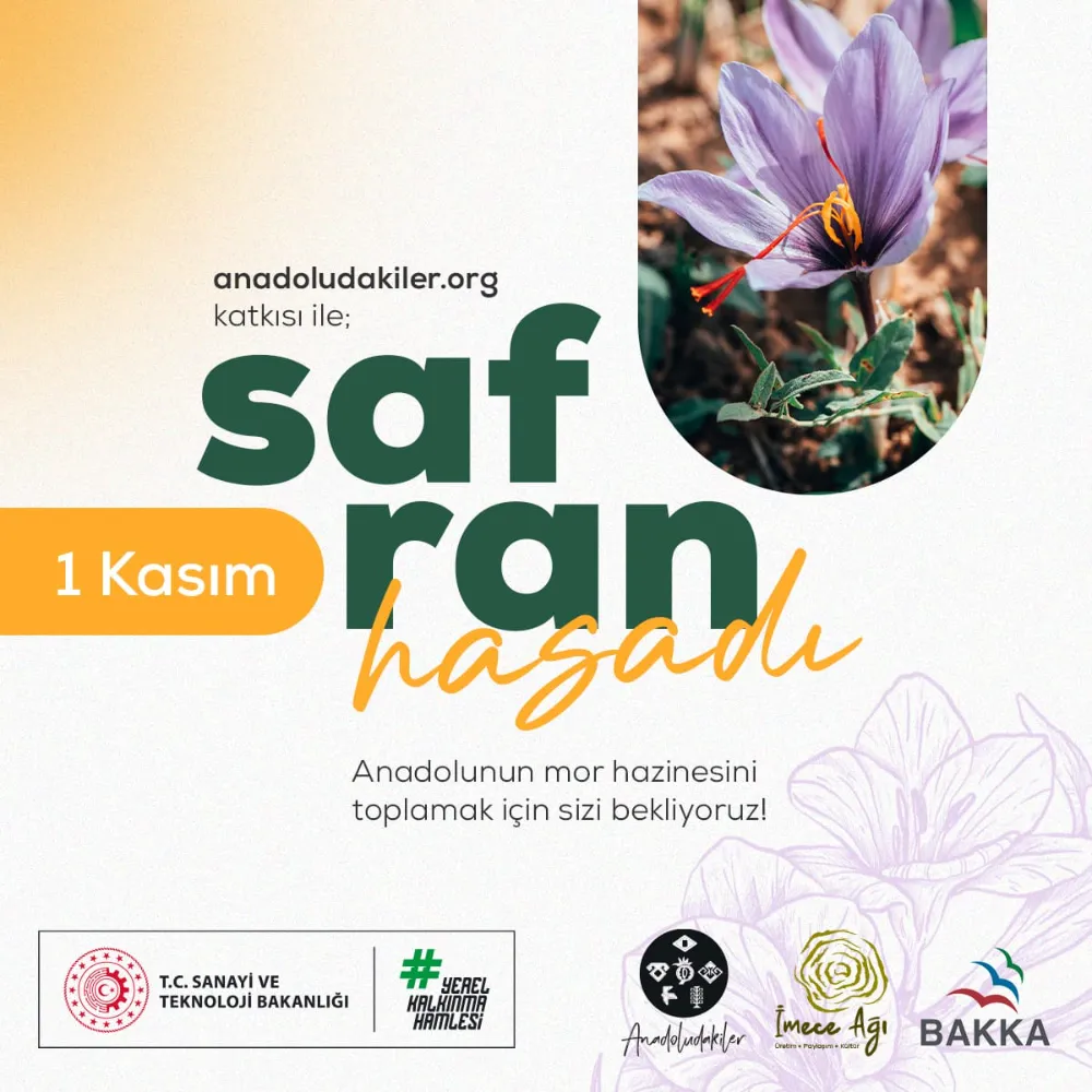 Safranbolu’da Morun ve Dayanışmanın Hasadı: 