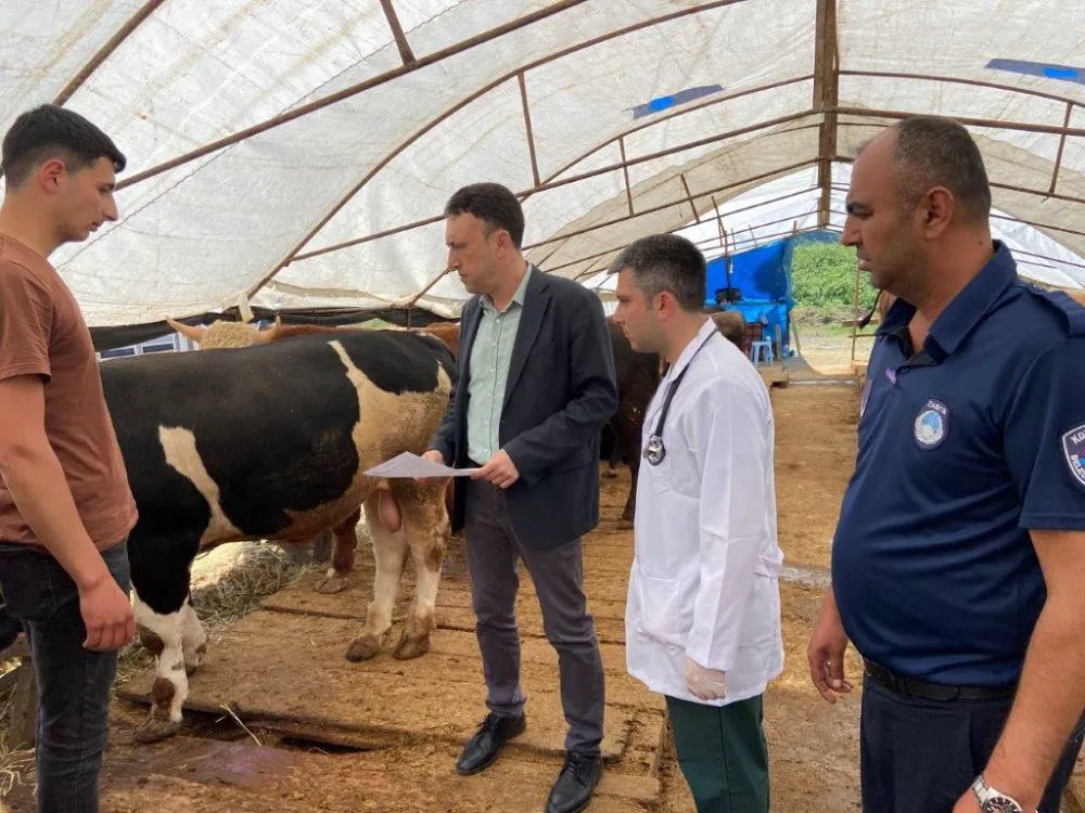 BELEDİYE KURBAN PAZARINI DENETLEDİ, KURBAN YAKALAMA TİMİ KURDU