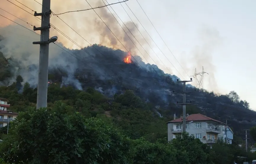 Ormanlarımız yalnızca ağaçlardan ibaret değil, geleceğimizdir.